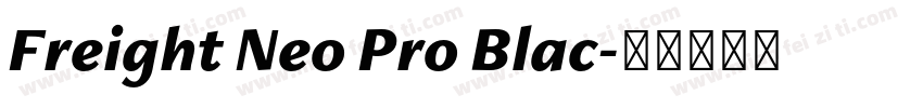 Freight Neo Pro Blac字体转换